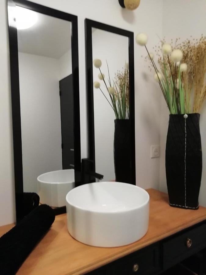 Appartement Topaze 孔卡尔诺 外观 照片